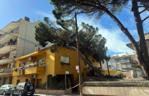 Els Bombers reben 304 avisos pel vent fins a les 19.00 h, la majoria a la regió de Girona